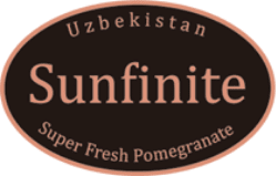 Sunfinite logo