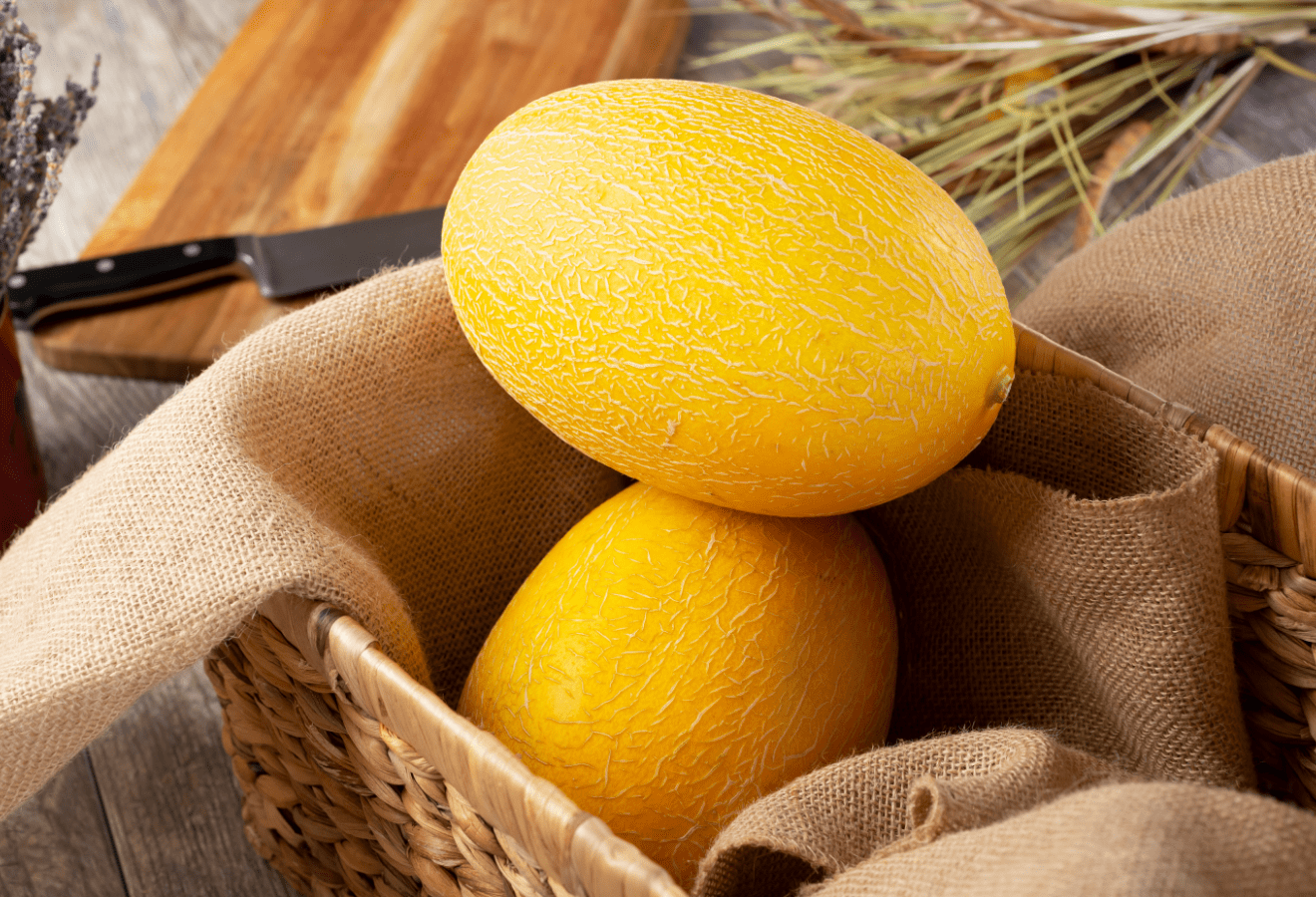 골드하미과멜론