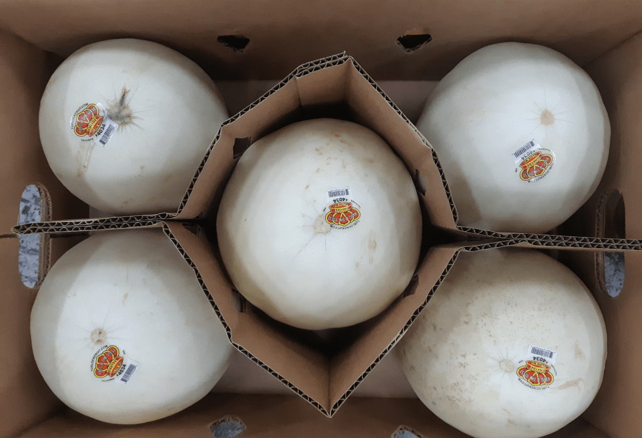 미국 허니듀멜론